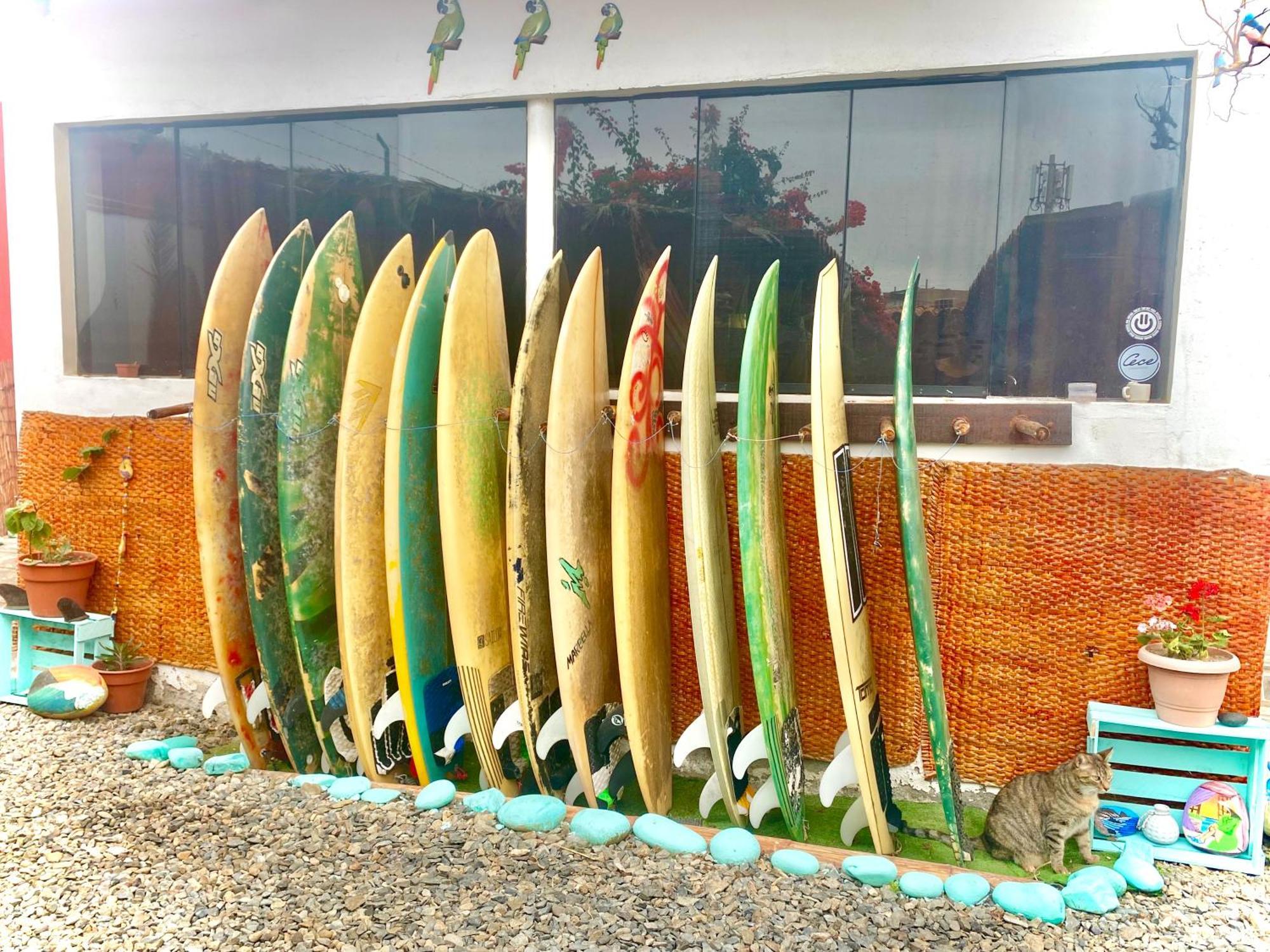 מלון פוארטו צ'יקמה Surf House Chicama מראה חיצוני תמונה