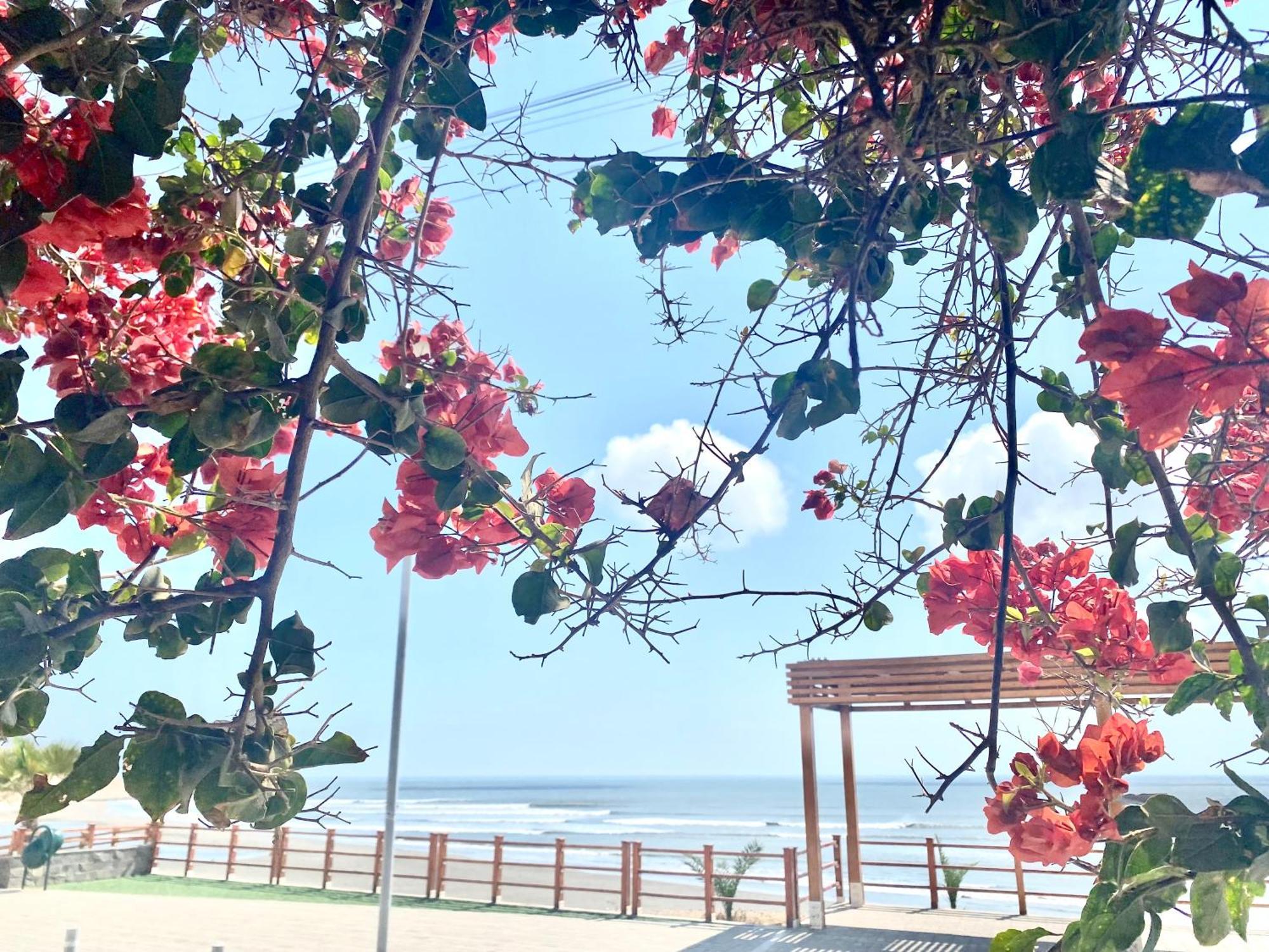 מלון פוארטו צ'יקמה Surf House Chicama מראה חיצוני תמונה